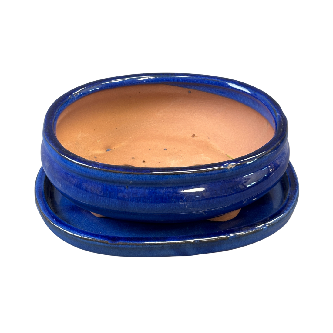 Bonsai Succulent Planter With Saucer