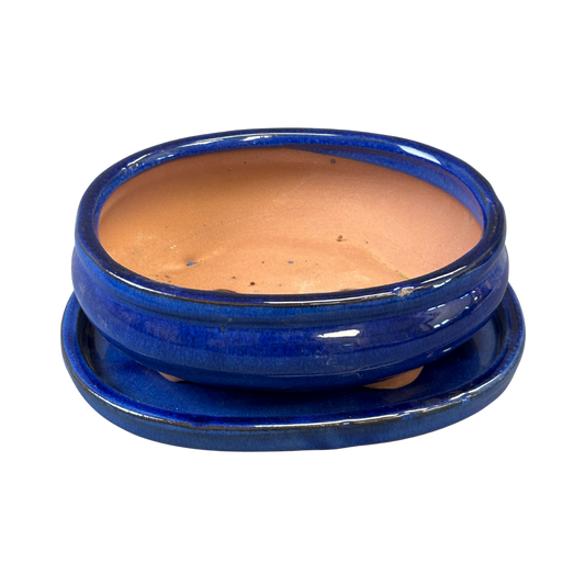 Bonsai Succulent Planter With Saucer