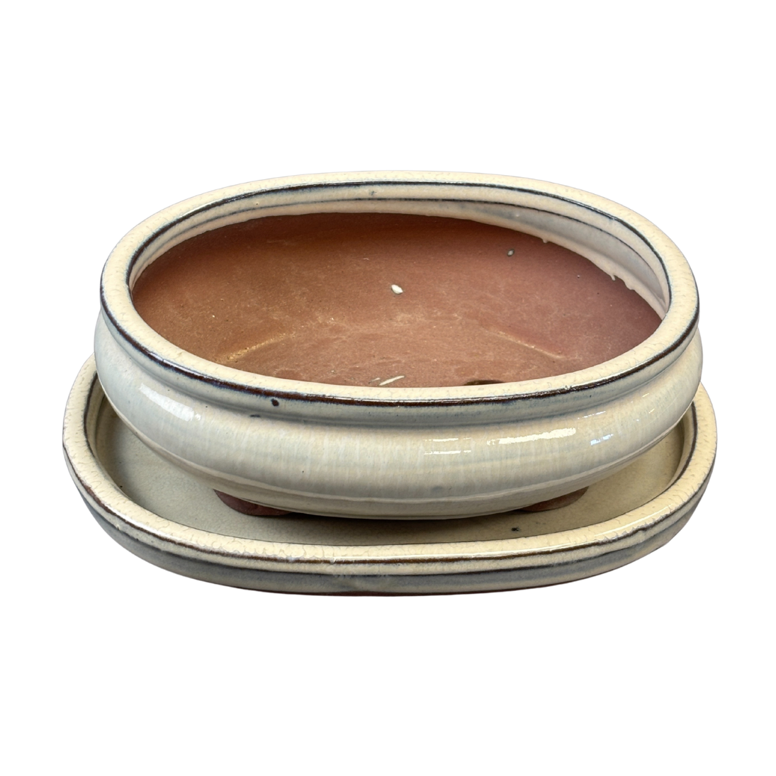 Bonsai Succulent Planter With Saucer