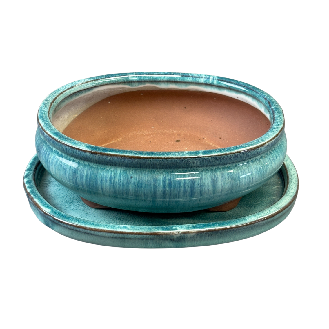 Bonsai Succulent Planter With Saucer