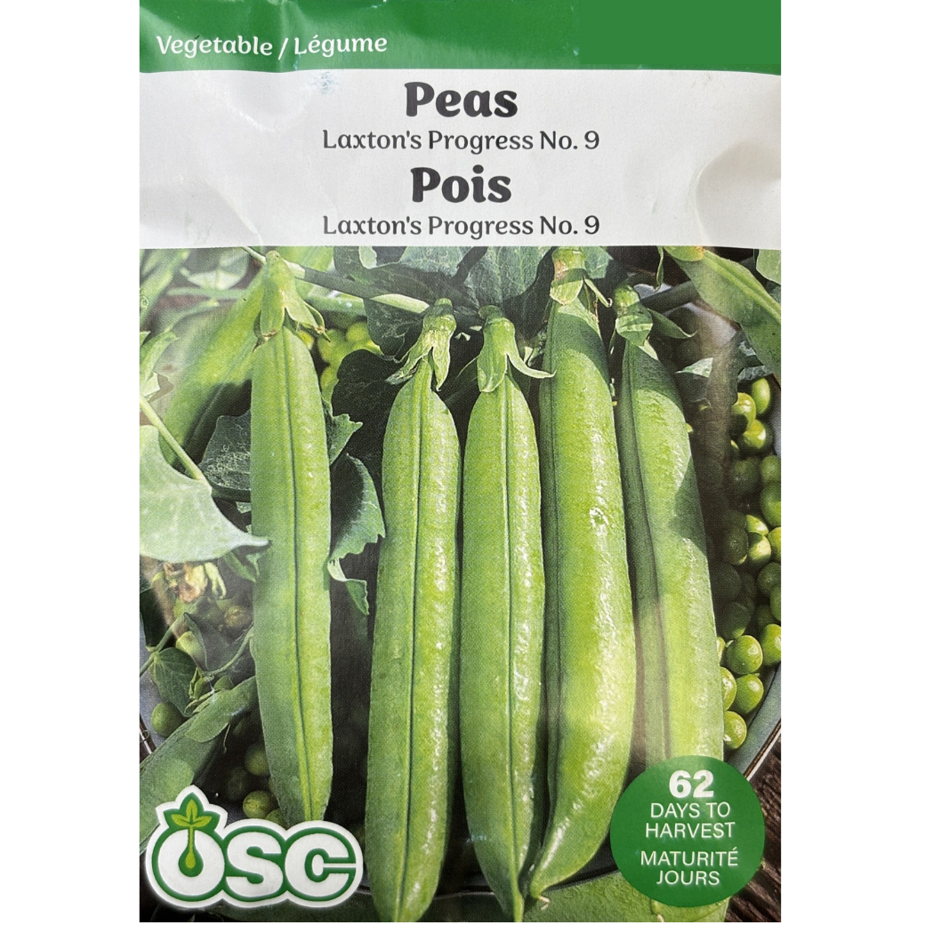 OSC Seeds Pea Laxton's Progress No.9