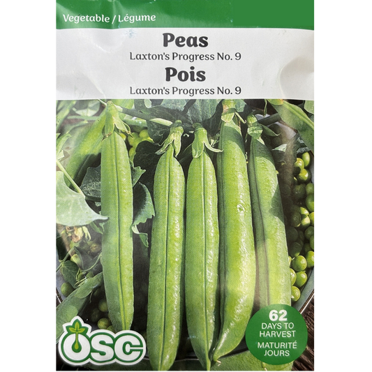OSC Seeds Pea Laxton's Progress No.9