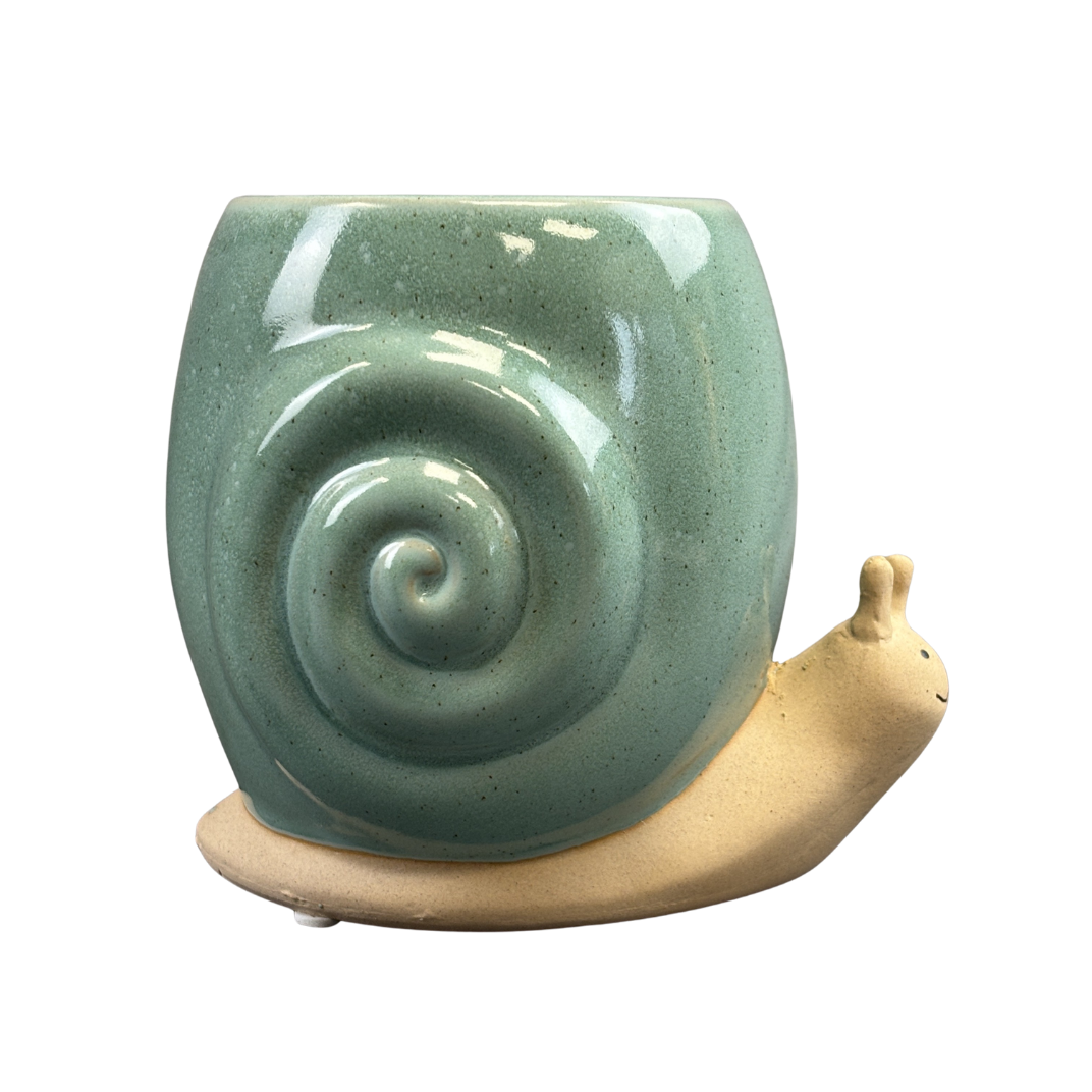 Snail Tall Turquoise