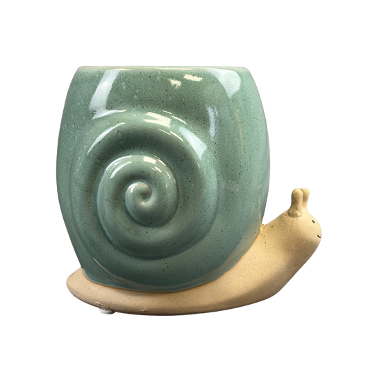 Snail Tall Turquoise