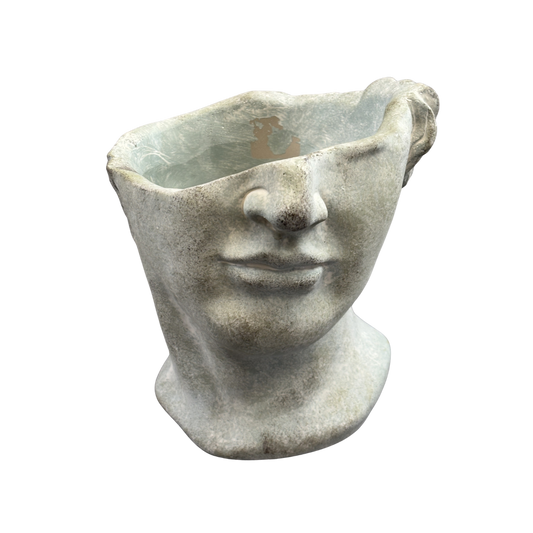 Half Male Face Planter