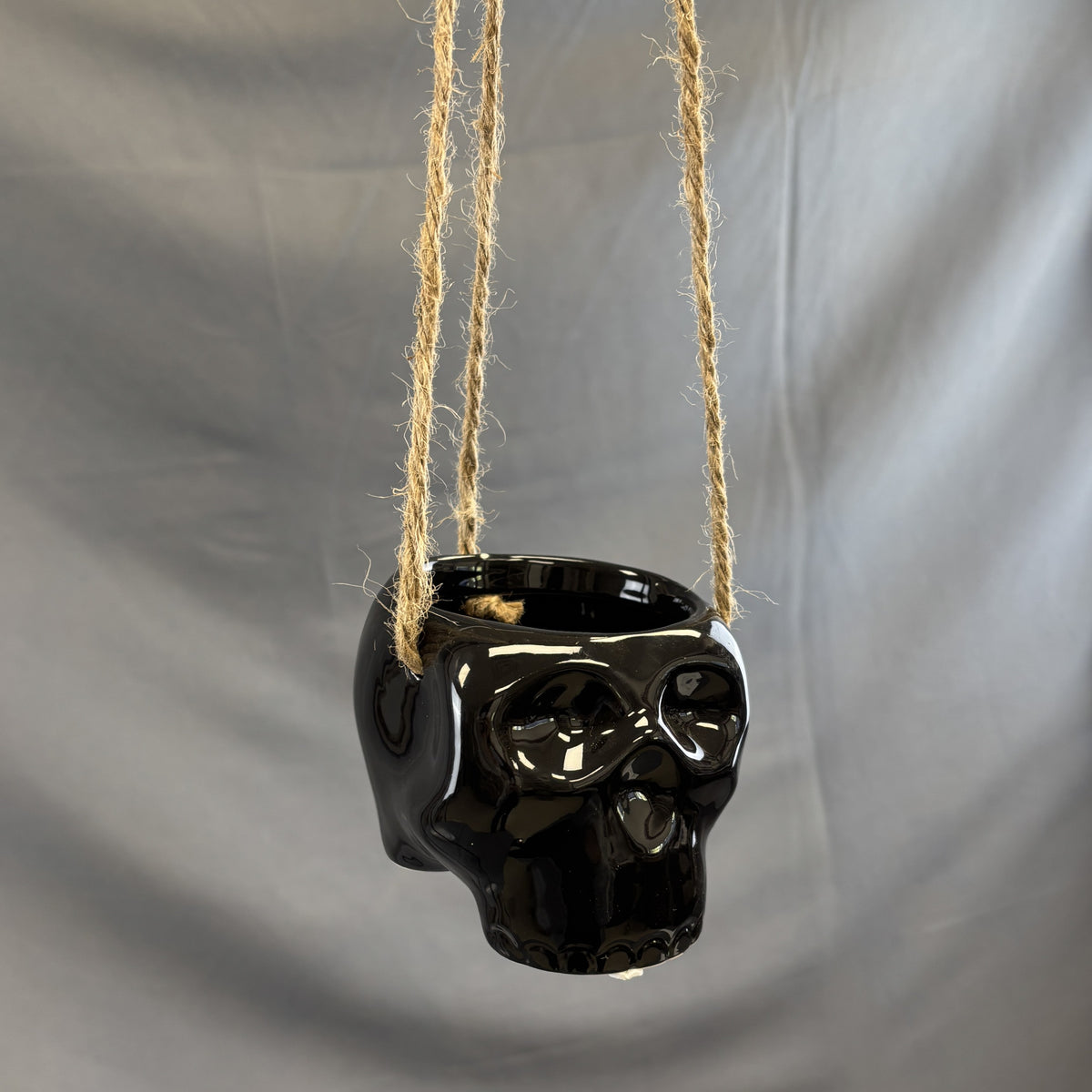 Pot Haunted Hanging Skull