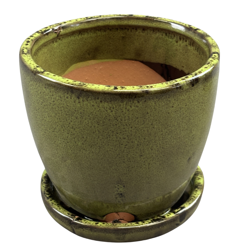 Pot Egg Ceramic with Saucer