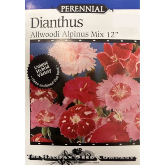 Halifax Seed Dianthus Allwoodi Alpinus Mix Pkg.