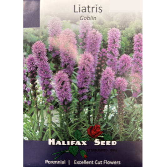 Halifax Seed Liatris Goblin Pkg.