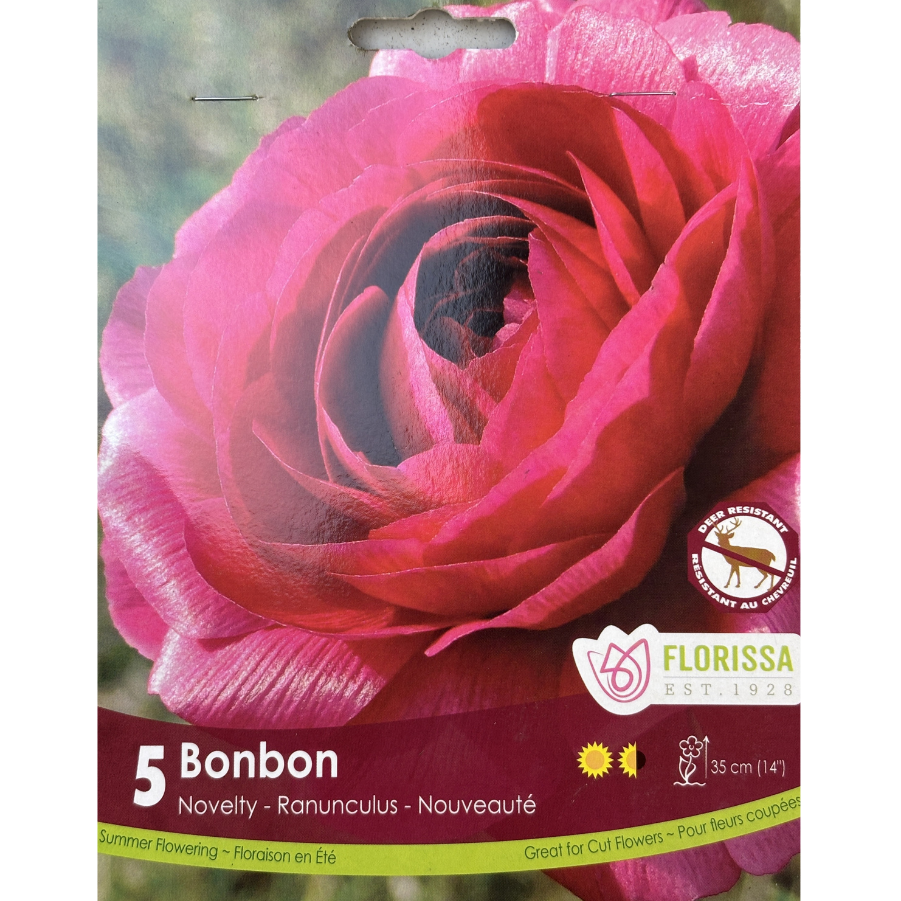 Bulbs Ranunculus Bonbon 5/Pkg.