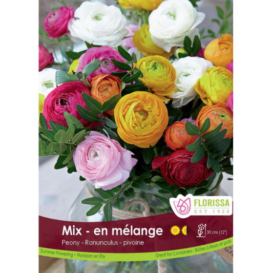 Bulbs Ranunculus Mix 10/Pkg.