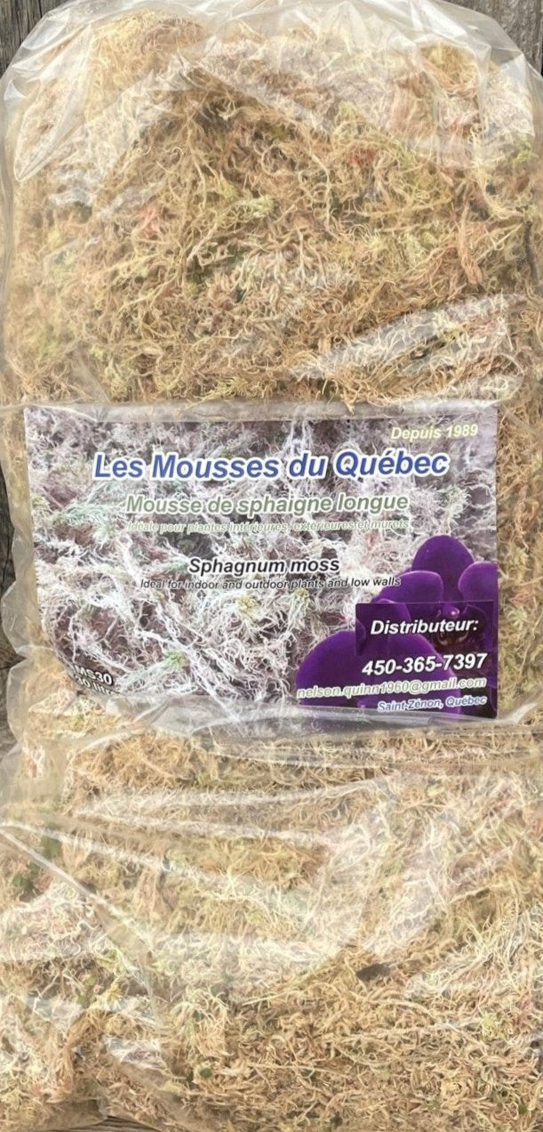 Sphagnum Moss Quebec
