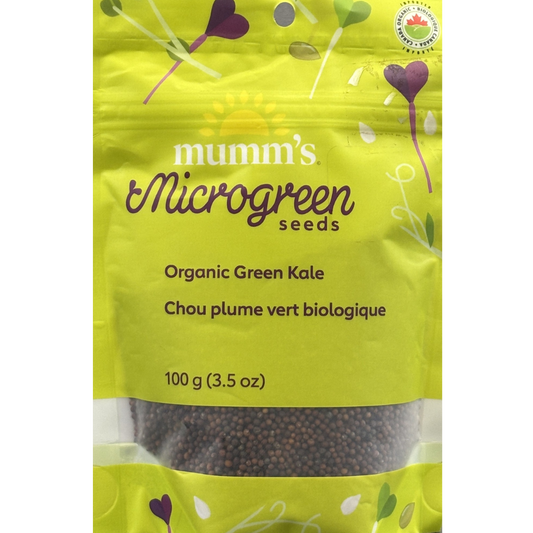 Mumm's Sprouts Green Kale
