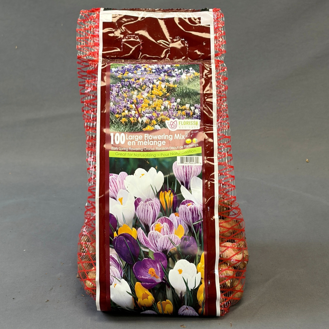 Crocus 'Large Flowering Mix' 100/Bag