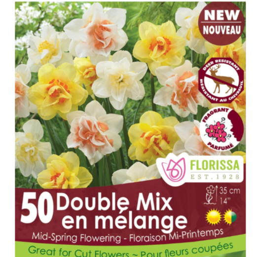 Narcissus 'Double Mix' 12+ 50/Pkg.