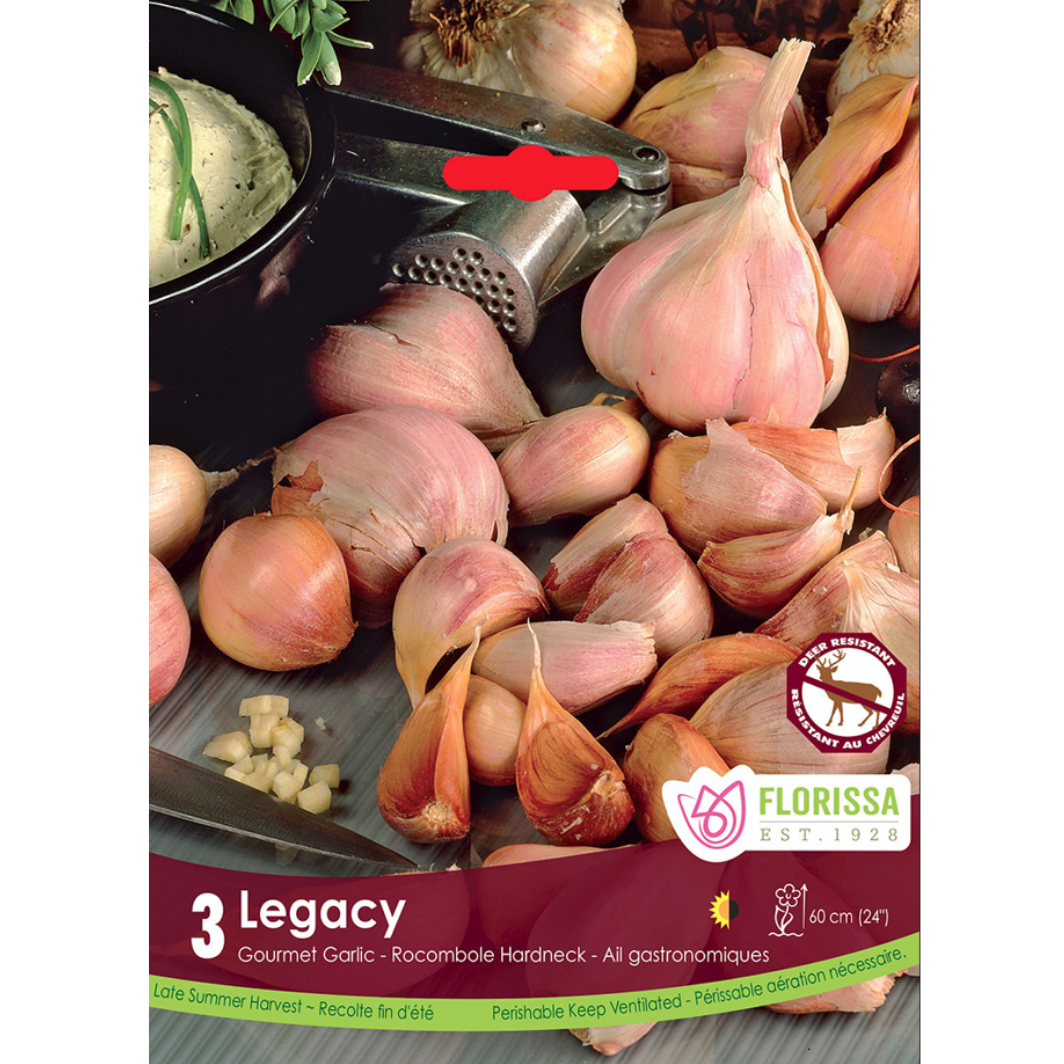 Garlic 'Legacy' 3/Pkg.