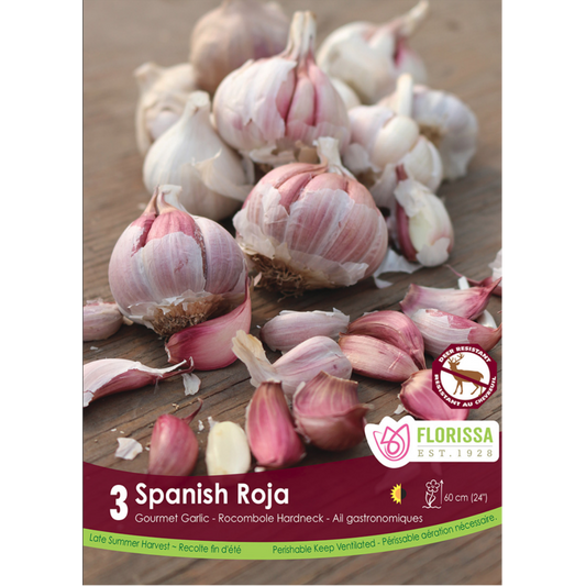 Garlic 'Spanish Roja' Rocombole Hardneck 3/Pkg.