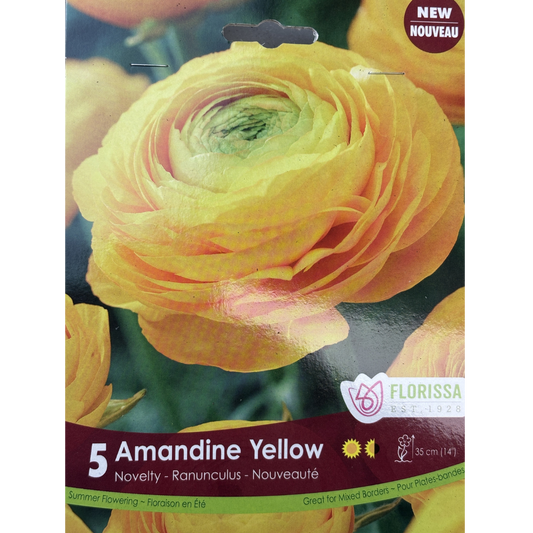 Bulbs Ranuculus Amandine Yellow 5/Pkg.