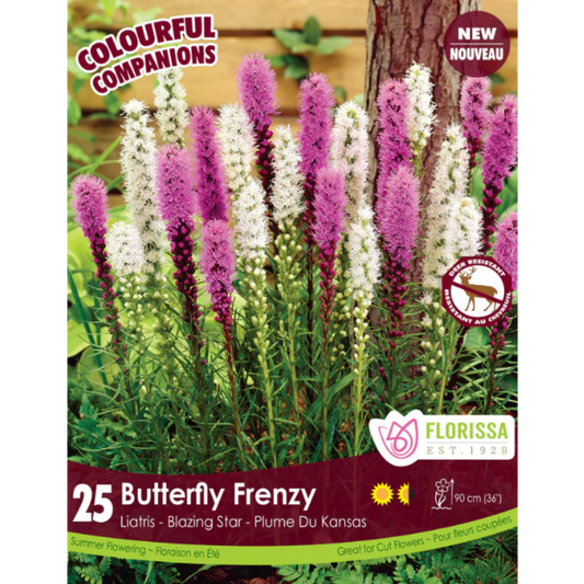 Bulbs Colourful Companions Liatris Butterfly Frenzy 25/Pkg.