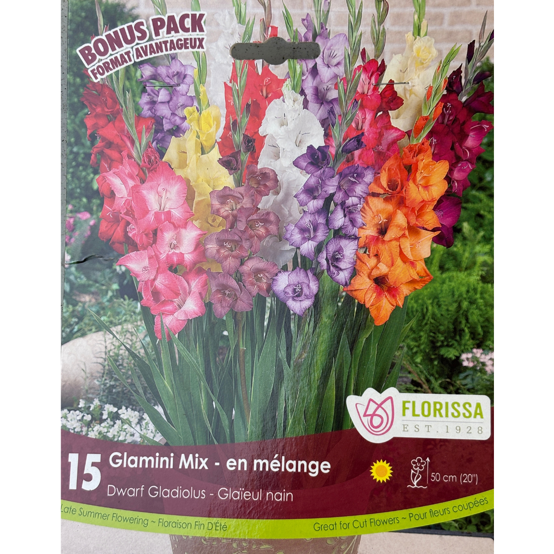 Bulbs Gladiolus Glamini Mix 15/Pkg.