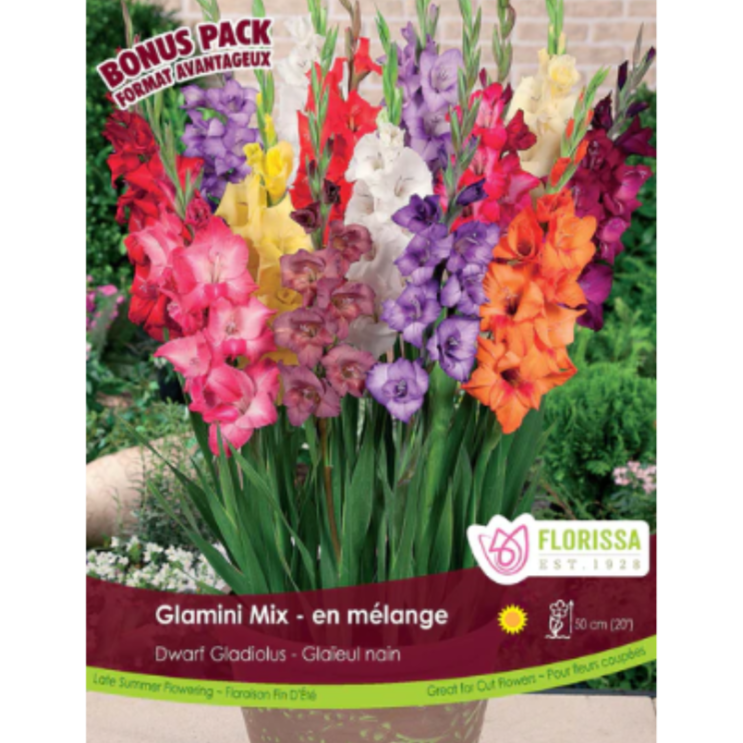 Bulbs Gladiolus Glamini Mix 15/Pkg.
