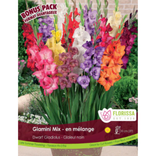 Bulbs Gladiolus Glamini Mix 15/Pkg.