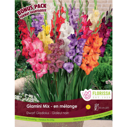 Bulbs Gladiolus Glamini Mix 15/Pkg.