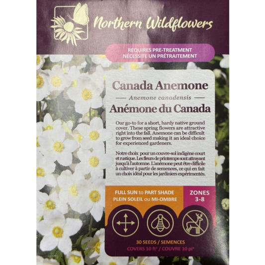 Northern Wildflowers Anemone Canada Pkg.