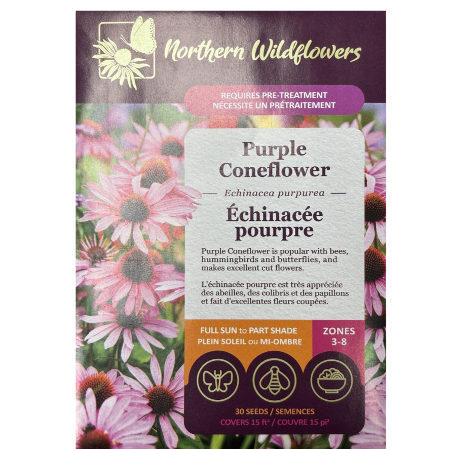 Northern Wildflowers Coneflower Purple  Pkg.