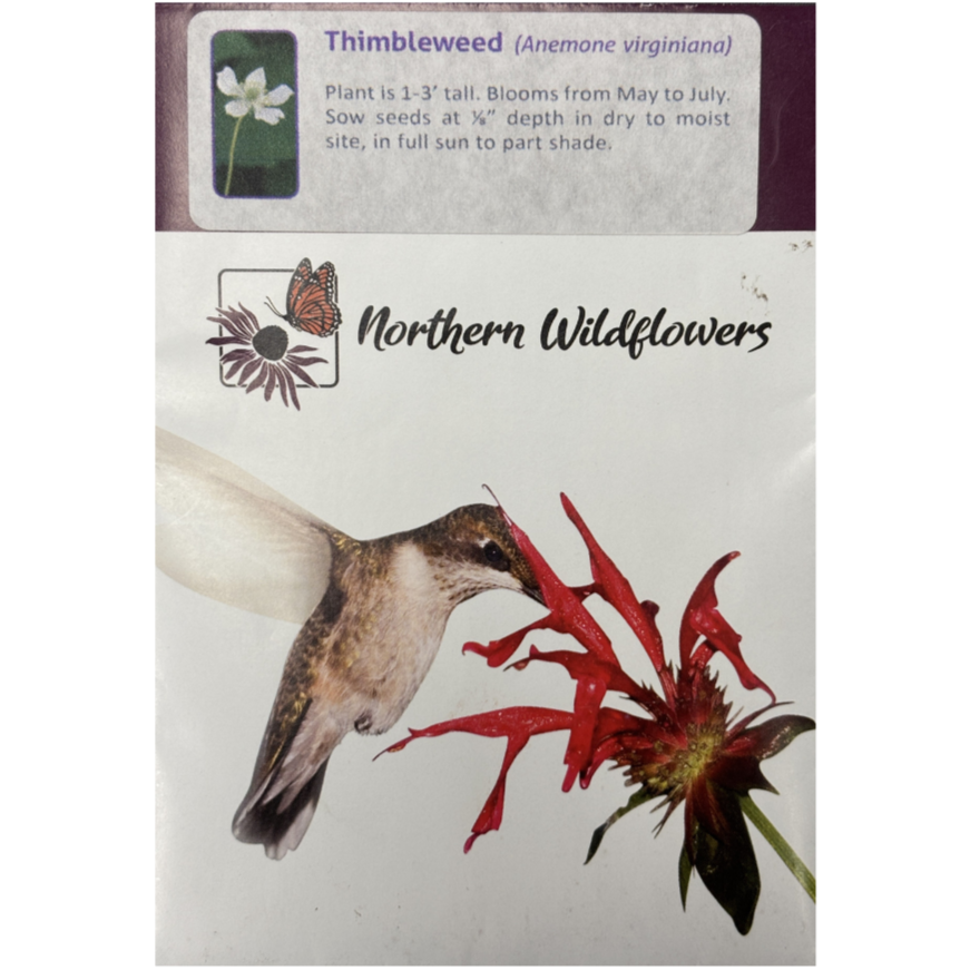 Northern Wildflowers Thimbleweed