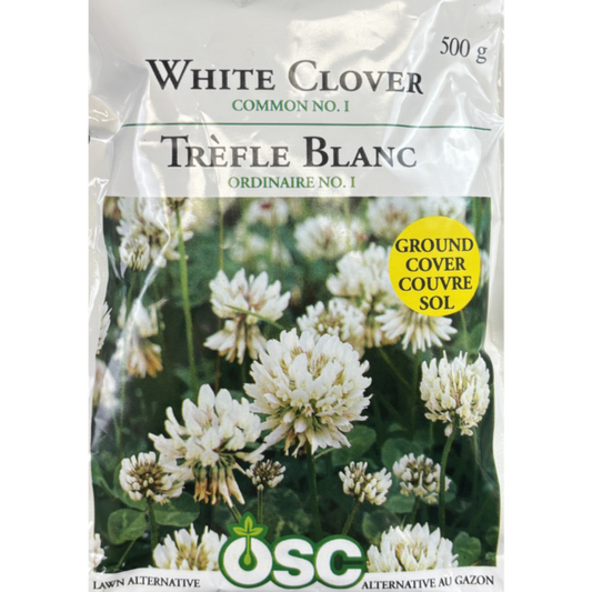 OSC Seeds White Clover