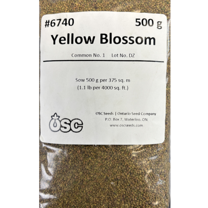 OSC Clover Yellow Blossom