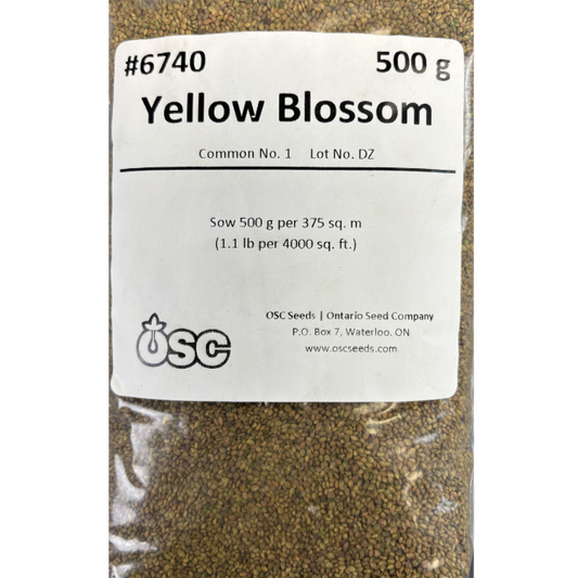 OSC Clover Yellow Blossom