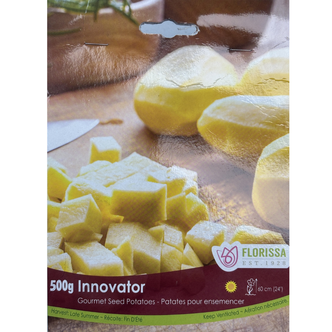 Seed Potato Innovator Gourmet 500g – Scott's Nursery Ltd.