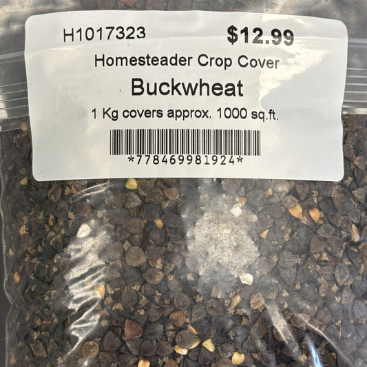 Cover Crop Buckwheat Homesteader