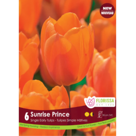 Tulip Sunrise Prince Single Early 6/Pkg.