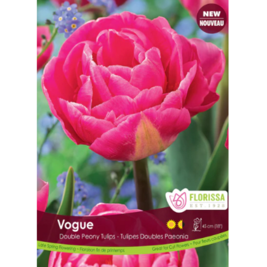Tulip 'Vogue' Double Peony 6/Pkg.