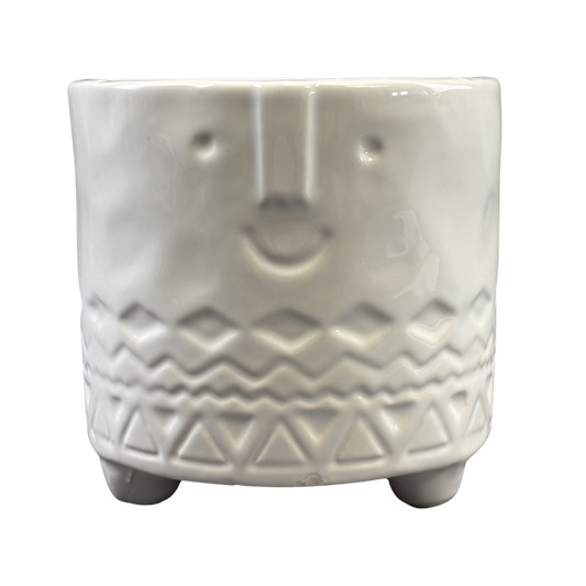 Pot Cover Friendly Face