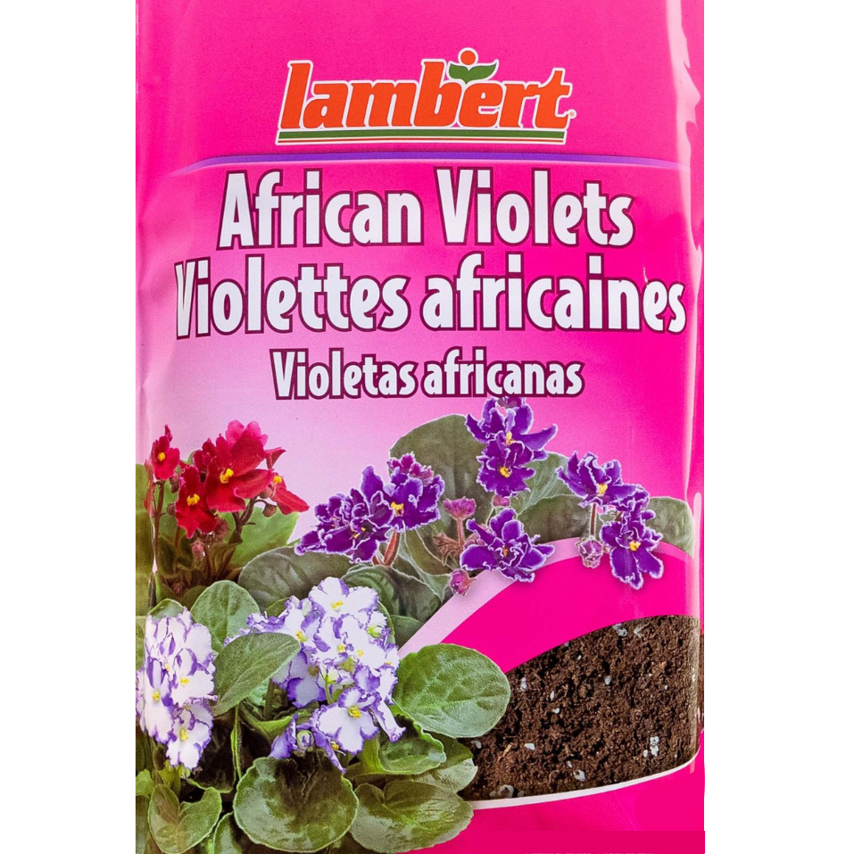 African Violet Mix