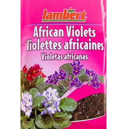 African Violet Mix