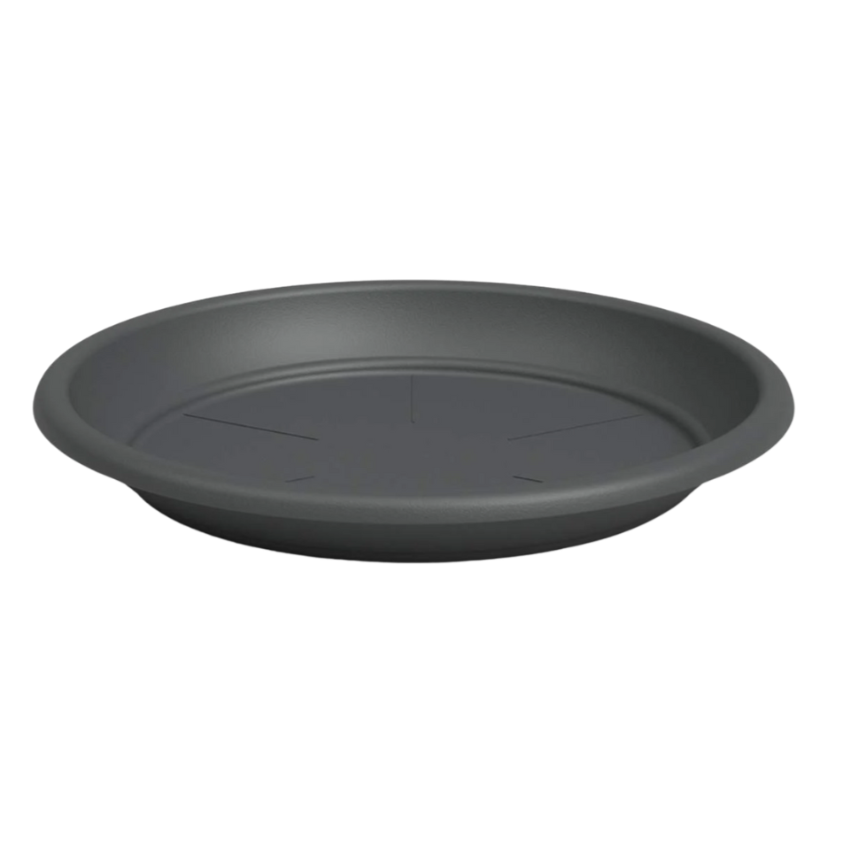 Saucer Madagascar Anthracite