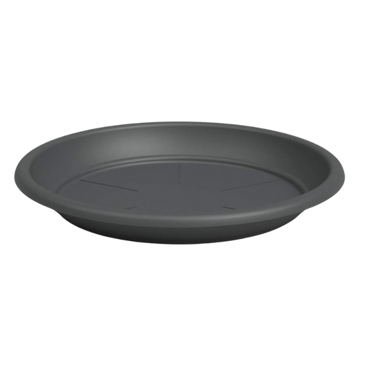 Saucer Madagascar Anthracite
