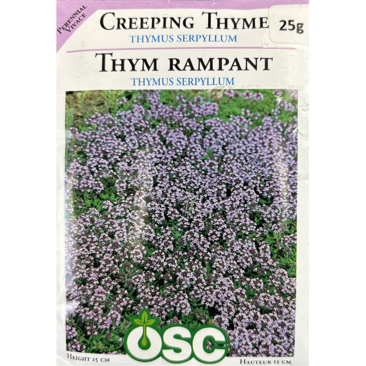 OSC Seeds Creeping Thyme Pkg.