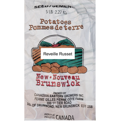 Potatoes Reveille Russet Seed