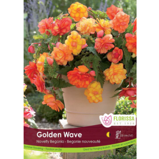 Bulbs Begonia Golden Wave 1/Pkg.