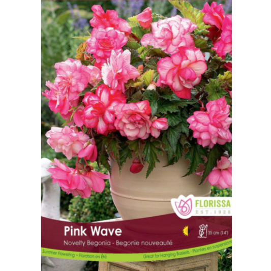 Bulbs Begonia Pink Wave 1/Pkg.