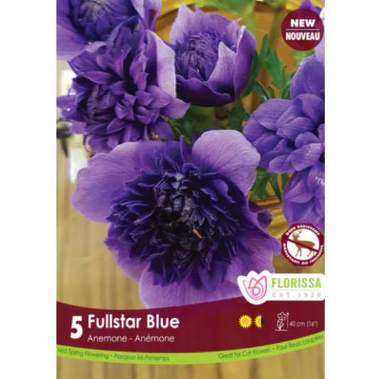 Bulbs Anemone Fullstar Blue 5/Pkg.