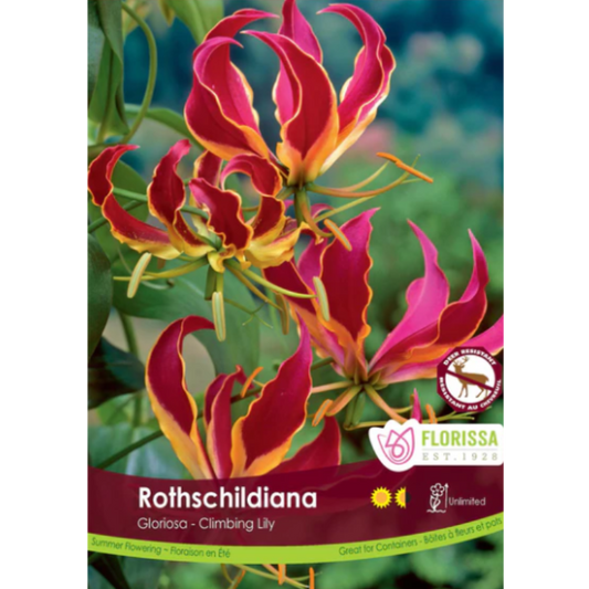Bulbs Glorisa Rothschildiana 1/Pkg.