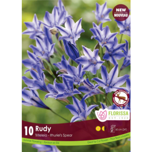 Bulbs Triteleia Rudy 10/Pkg.