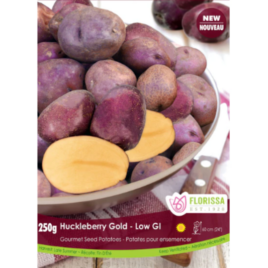 Seed Potatoes Gourmet Huckleberry Gold 250g